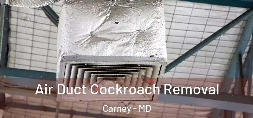 Air Duct Cockroach Removal Carney - MD