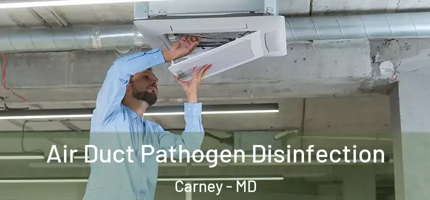 Air Duct Pathogen Disinfection Carney - MD