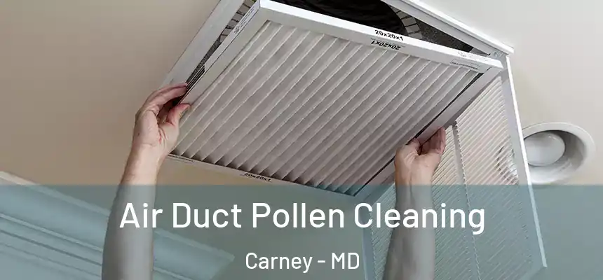  Air Duct Pollen Cleaning Carney - MD