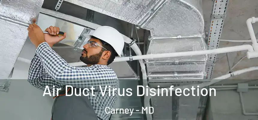  Air Duct Virus Disinfection Carney - MD