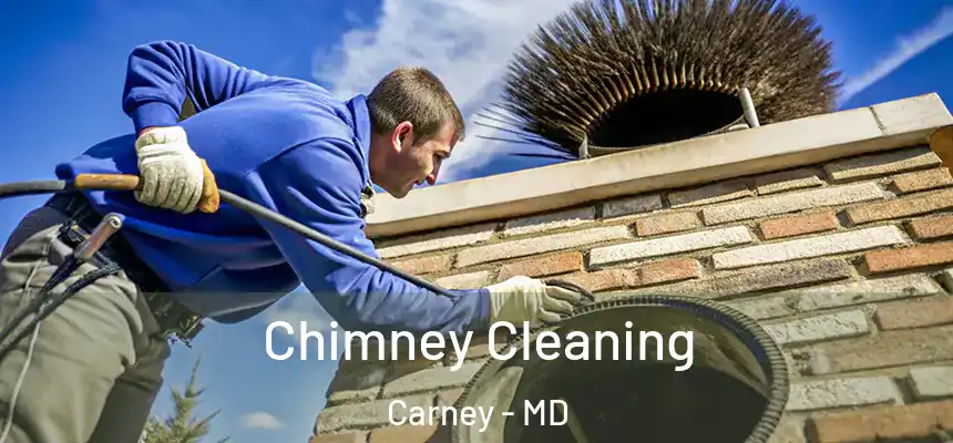 Chimney Cleaning Carney - MD