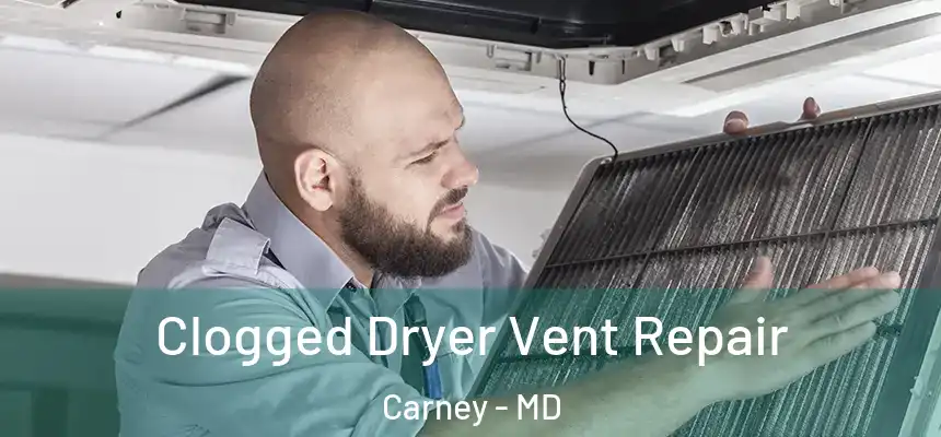  Clogged Dryer Vent Repair Carney - MD