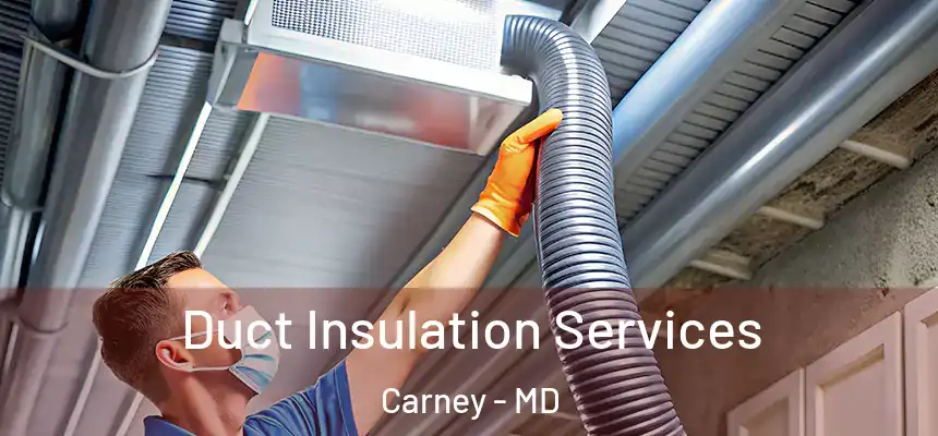 Duct Insulation Services Carney - MD