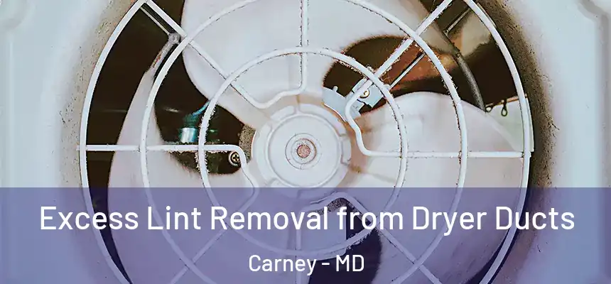 Excess Lint Removal from Dryer Ducts Carney - MD