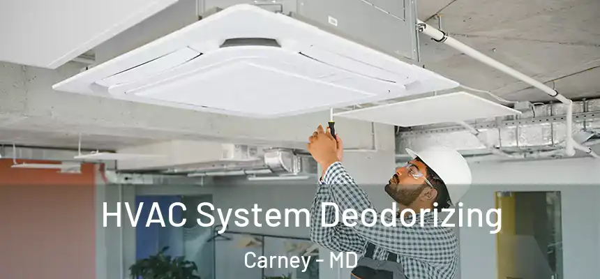 HVAC System Deodorizing Carney - MD