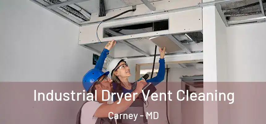  Industrial Dryer Vent Cleaning Carney - MD