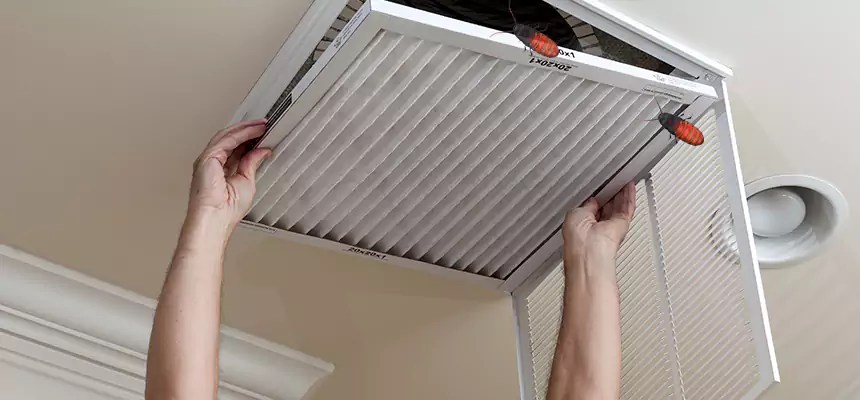 Preventive Cockroach-Proofing for Ducts in Carney