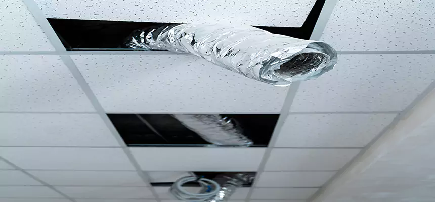 Affordable HVAC Sanitizing After Pest Removal in Carney