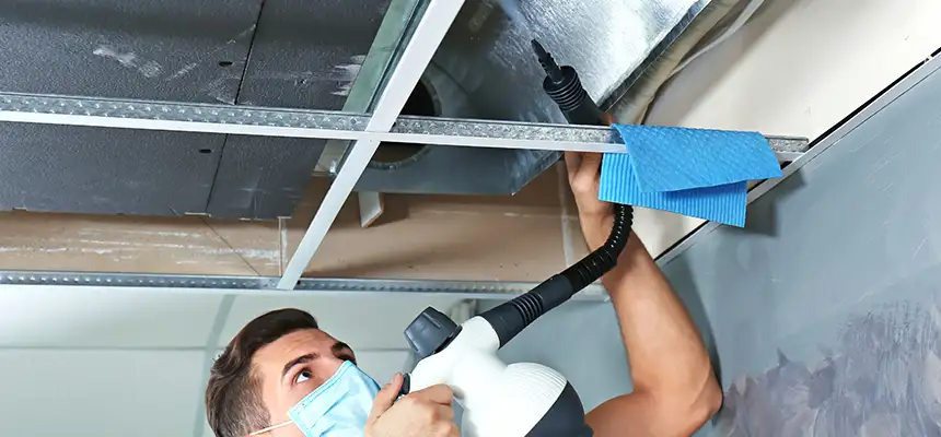 Our Air Duct Rodent Removal Services in Carney, MD
