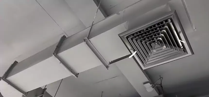 Our Pest Removal From Ducts Services in Carney, MD