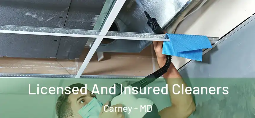 Licensed And Insured Cleaners Carney - MD