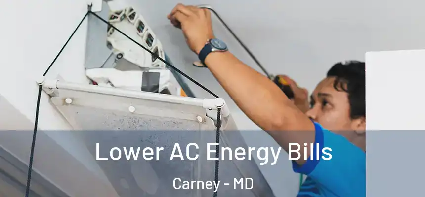 Lower AC Energy Bills Carney - MD