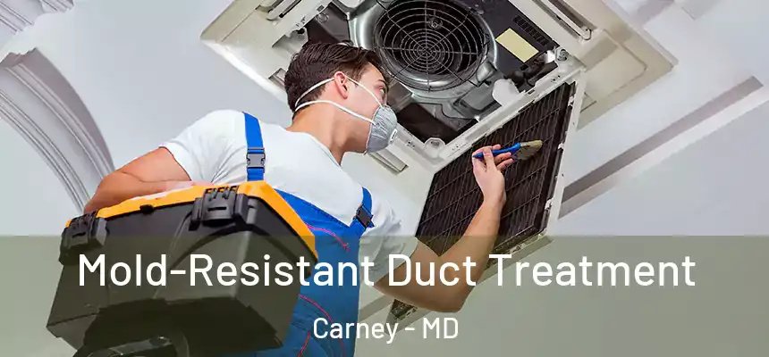 Mold-Resistant Duct Treatment Carney - MD