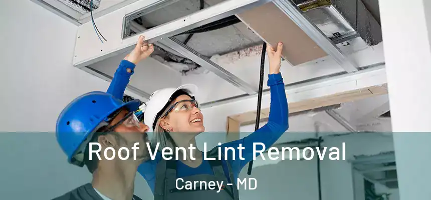  Roof Vent Lint Removal Carney - MD
