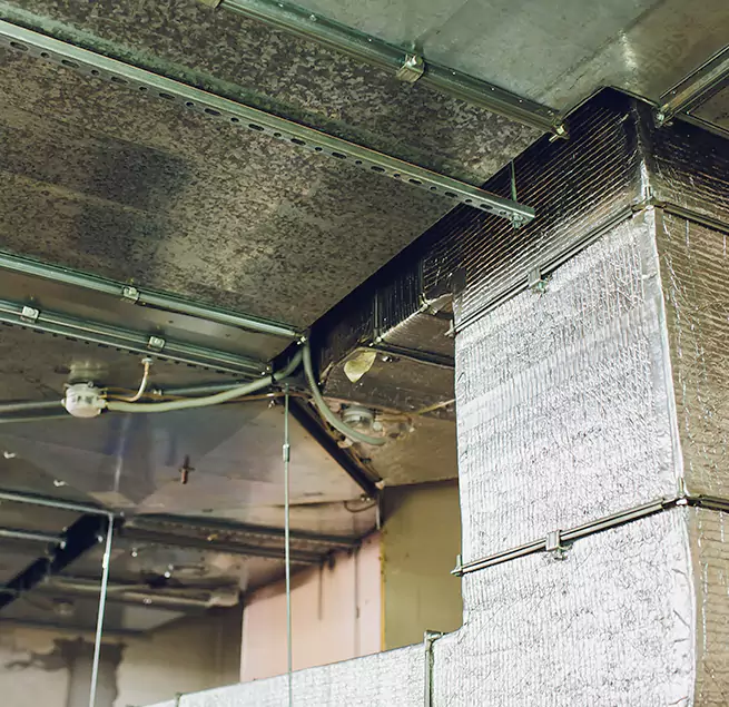 Why Homeowners & Businesses Trust Us in Carney, MD?